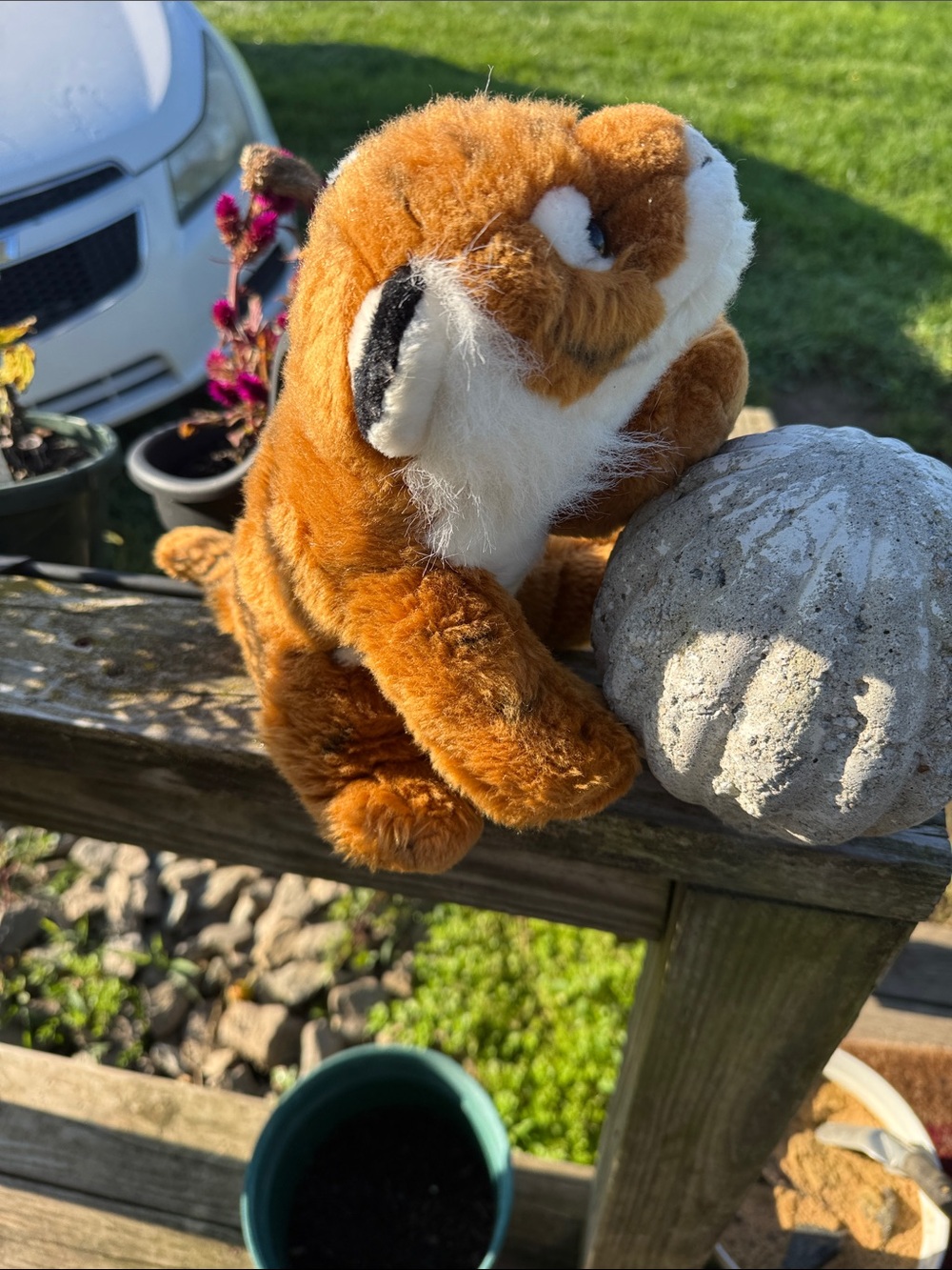 Plush Orange & White Small Pet Toy - Soft Squirrel Plush